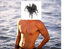 hahaha.png