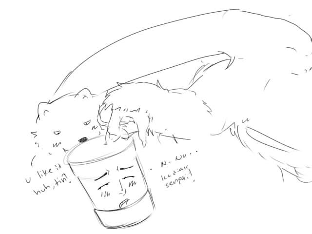 kodiak x tin.jpg